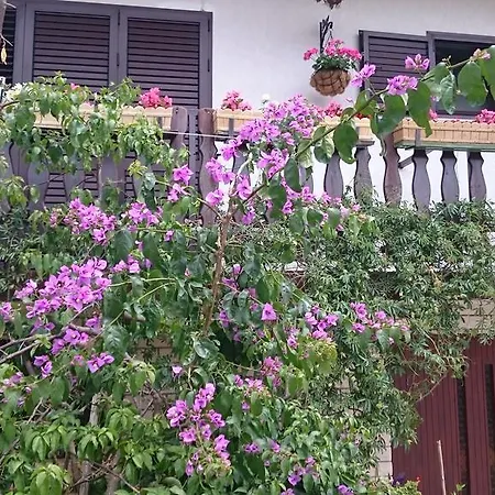 House Of Tranquillity Gasthof Mali Lošinj