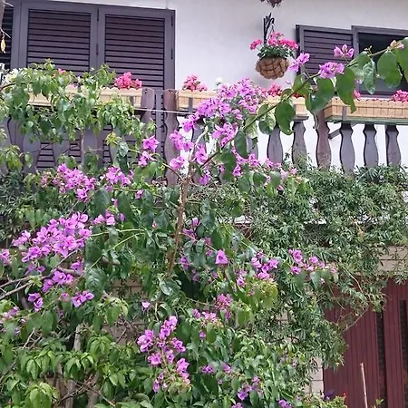 House Of Tranquillity Pensiune Mali Lošinj